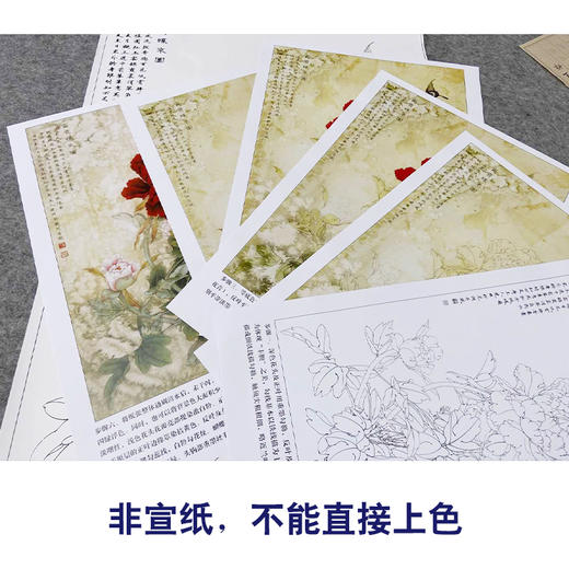 【有步骤、大彩图】李晓明工笔画白描底稿《富贵蝶来图》牡丹蝴蝶初学者临摹花鸟线稿KD19 商品图2