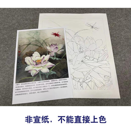 【有步骤、大彩图】李晓明工笔画白描底稿小品《紫荷红蜻蜓》荷花初学者临摹花鸟线稿KE09 商品图2