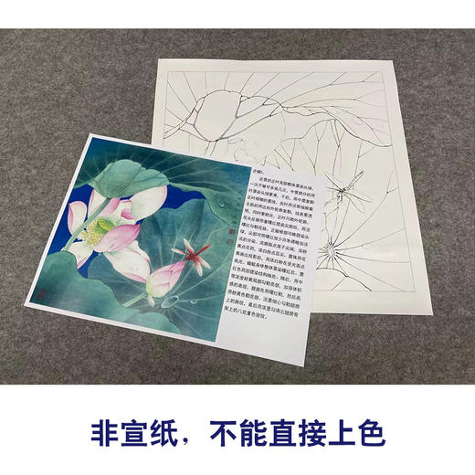 【有步骤、大彩图】李晓明工笔画白描底稿斗方小品《心莲若梦》荷花蜻蜓初学者临摹花鸟线稿KE08 商品图2