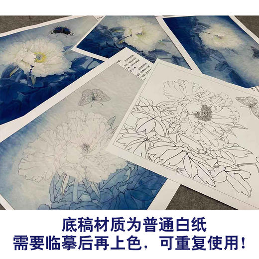 【有步骤、大彩图】李晓明工笔画白描稿底小品《凤丹白蛱蝶》牡丹蝴蝶初学者临摹花鸟线稿KD35 商品图3
