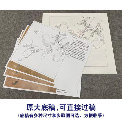 【有步骤、大彩图】李晓明工笔画白描底稿斗方小品《榴枝黄鸟图》石榴黄鹂初学者临摹花鸟线稿KC31 商品图1