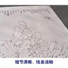 【有步骤、大彩图】李晓明工笔画白描底稿《王红白粉蝶》牡丹初学者临摹花鸟线稿KD18 商品缩略图4