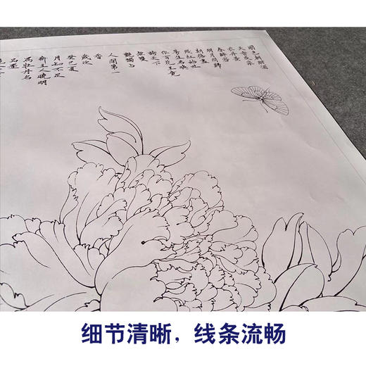 【有步骤、大彩图】李晓明工笔画白描底稿《王红白粉蝶》牡丹初学者临摹花鸟线稿KD18 商品图4