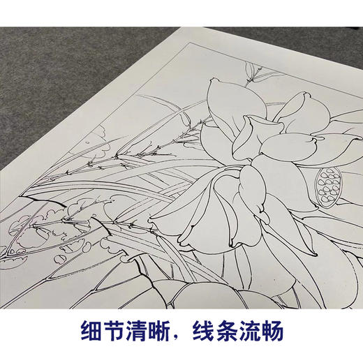 【有步骤、大彩图】李晓明工笔画白描底稿斗方小品《红荷艳阳天》红荷花初学者临摹花鸟线稿KE05 商品图4