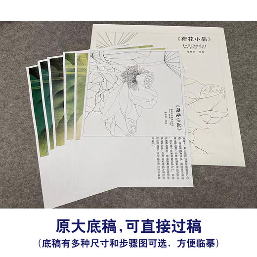 【有步骤、大彩图】李晓明工笔画白描底稿斗方小品《荷花》初学者临摹花鸟线稿KE11 商品图1