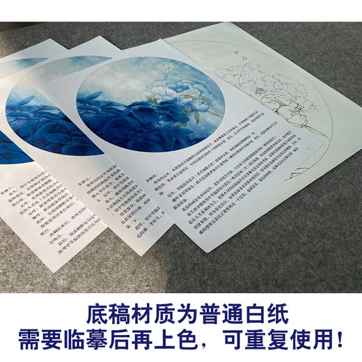 【有步骤、大彩图】李晓明工笔画白描底稿圆形小品《凤丹白》牡丹初学者临摹花鸟线稿KD05 商品图3
