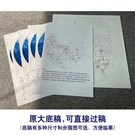 【有步骤、大彩图】李晓明工笔画白描底稿圆形小品《凤丹白》牡丹初学者临摹花鸟线稿KD05 商品图1