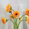 菊花-拉丝非洲菊-橘色-10枝/扎 商品缩略图1