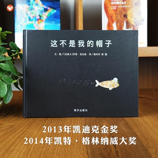 信谊乔恩克拉森系列9册套装：天上掉下一块大石头+帽子系列+形状系列+山姆和大卫去挖洞+狼鸭子和老鼠 商品图6