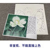 【有步骤、大彩图】李晓明工笔画白描底稿斗方小品《冷艳清华》荷花初学者临摹花鸟线稿KE06 商品缩略图2