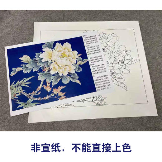 【有步骤、大彩图】李晓明工笔画白描底稿小品《雏鹅黄》牡丹初学者临摹花鸟线稿KD36 商品图2