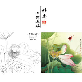 【有步骤、大彩图】李晓明工笔画白描底稿斗方小品《荷花》初学者临摹花鸟线稿KE11