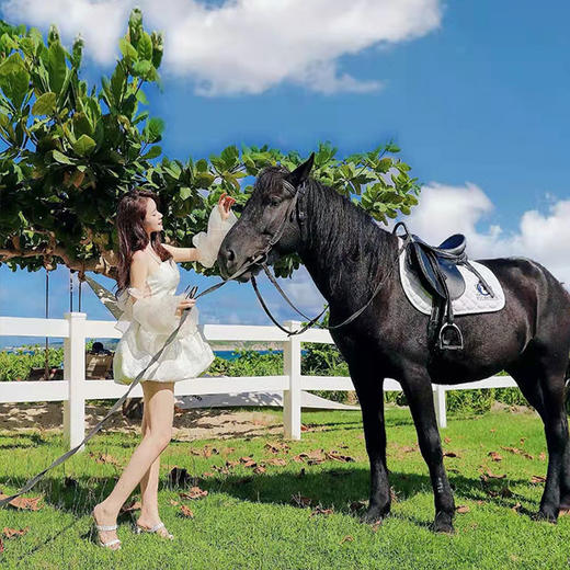 【三亚】天域亲子酒店！亚龙湾一线海景，萌宠乐园+儿童俱乐部+酒店日场亲子活动！ 商品图5