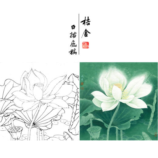 【有步骤、大彩图】李晓明工笔画白描底稿斗方小品《冷艳清华》荷花初学者临摹花鸟线稿KE06 商品图0