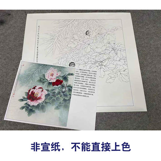 【有步骤、大彩图】李晓明工笔画白描底稿斗方小品《二乔》牡丹初学者临摹花鸟线稿KD29 商品图2