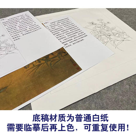 【有步骤、大彩图】李晓明工笔画白描底稿斗方小品《临宋写生草虫图》蜻蜓蚱蜢初学者临摹花鸟线稿KC37 商品图3