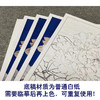 【有步骤、大彩图】李晓明工笔画白描底稿《羊脂白》牡丹花初学者临摹花鸟线稿KD42 商品缩略图3