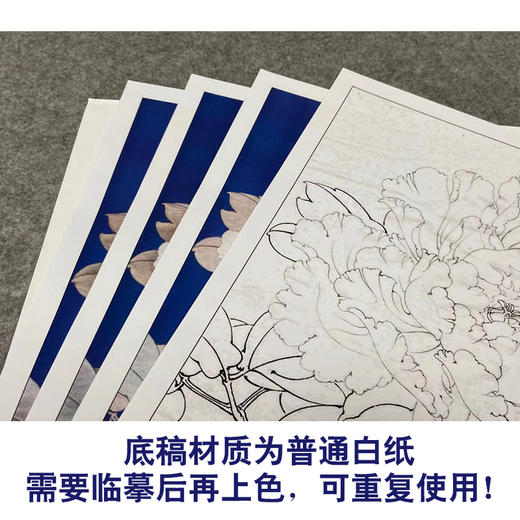 【有步骤、大彩图】李晓明工笔画白描底稿《羊脂白》牡丹花初学者临摹花鸟线稿KD42 商品图3