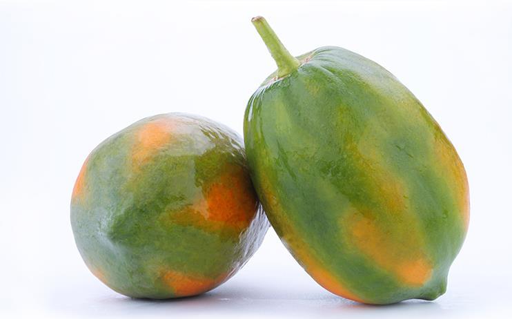 红妃木瓜|有机种植 原产地直采 鲜果直供