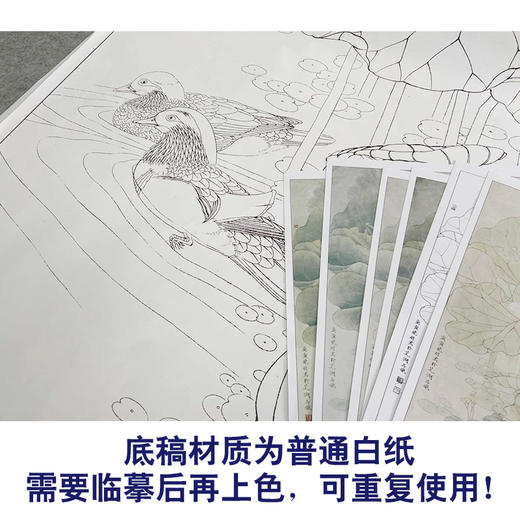 【有步骤、大彩图】李晓明工笔画白描底稿《荷塘鸳鸯图》荷花初学者临摹花鸟线稿KE02 商品图3