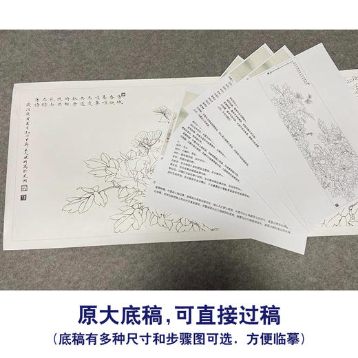 【有步骤、大彩图】李晓明横幅工笔画白描底稿《名花倾国》牡丹花初学者临摹花鸟线稿KD40 商品图1