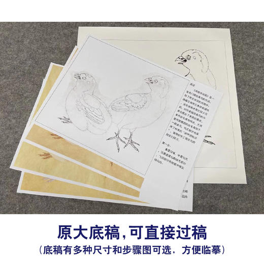 【有步骤、大彩图】李晓明工笔画白描底稿斗方小品《鸡雏待饲图》初学者临摹高清打印稿KC30 商品图1