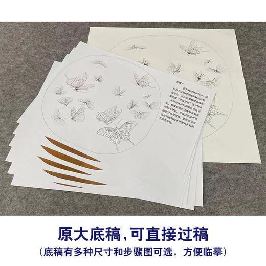 【有步骤、大彩图】李晓明工笔画白描底稿圆形小品《临宋晴春蝶戏图》蝴蝶初学者临摹花鸟线稿KC36 商品图1