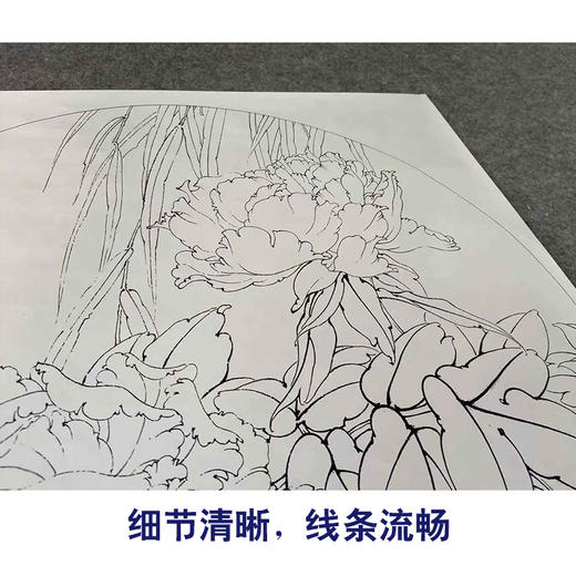 【有步骤、大彩图】李晓明工笔画白描底稿小品《二乔春色》牡丹初学者临摹花鸟线稿KD01 商品图4
