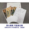 【有步骤、大彩图】李晓明工笔画白描底稿斗方小品《飞艳红妆》牡丹初学者临摹花鸟线稿KD28 商品缩略图1
