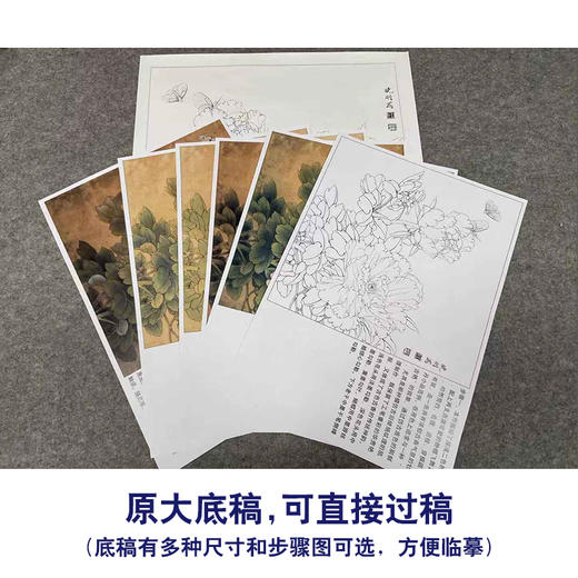 【有步骤、大彩图】李晓明工笔画白描底稿斗方小品《飞艳红妆》牡丹初学者临摹花鸟线稿KD28 商品图1