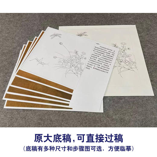 【有步骤、大彩图】李晓明工笔画白描底稿斗方小品《临宋写生草虫图》蜻蜓蚱蜢初学者临摹花鸟线稿KC37 商品图1