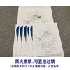 【有步骤、大彩图】李晓明工笔画白描底稿宫扇小品《香玉》牡丹初学者临摹花鸟线稿KD09 商品缩略图1