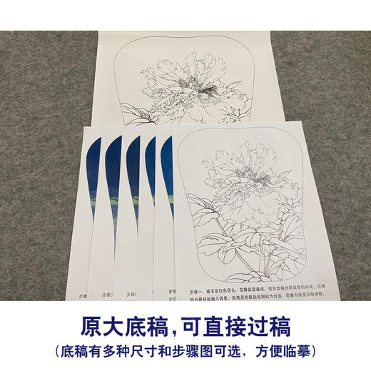 【有步骤、大彩图】李晓明工笔画白描底稿宫扇小品《香玉》牡丹初学者临摹花鸟线稿KD09 商品图1
