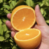 麻阳冰糖橙、汁多味甜，甜似冰糖而闻名全国、个头虽然不大，名气却很大！果肉入口脆嫩清爽，少籽化渣，汁多味浓 商品缩略图2