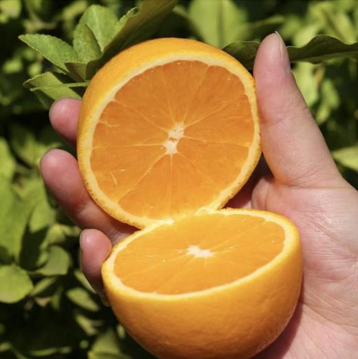 麻阳冰糖橙、汁多味甜，甜似冰糖而闻名全国、个头虽然不大，名气却很大！果肉入口脆嫩清爽，少籽化渣，汁多味浓 商品图2