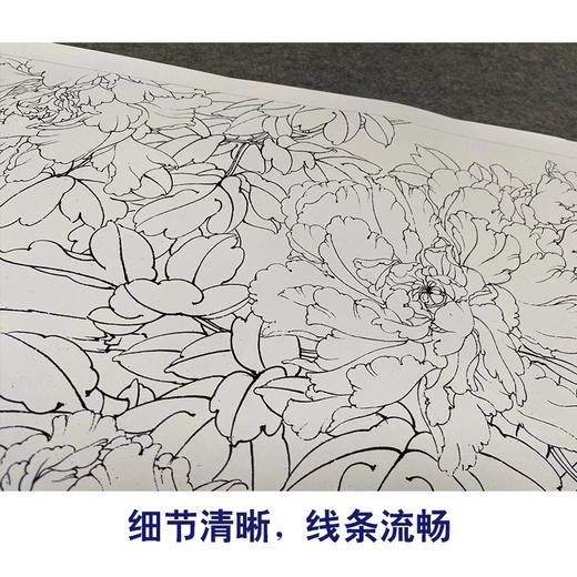 【有步骤、大彩图】李晓明横幅工笔画白描底稿《名花倾国》牡丹花初学者临摹花鸟线稿KD40 商品图4
