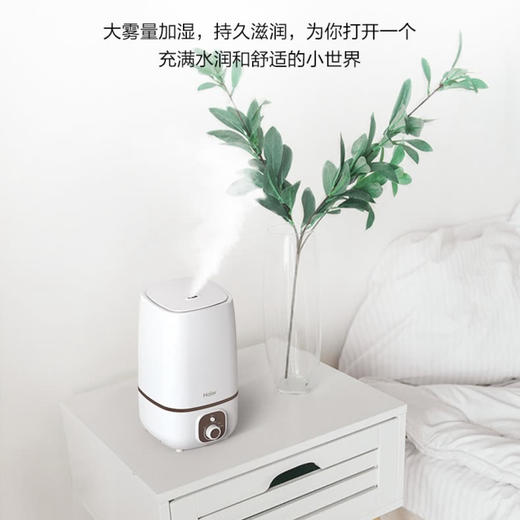 海尔（Haier）加湿器SCK-6408A 商品图2