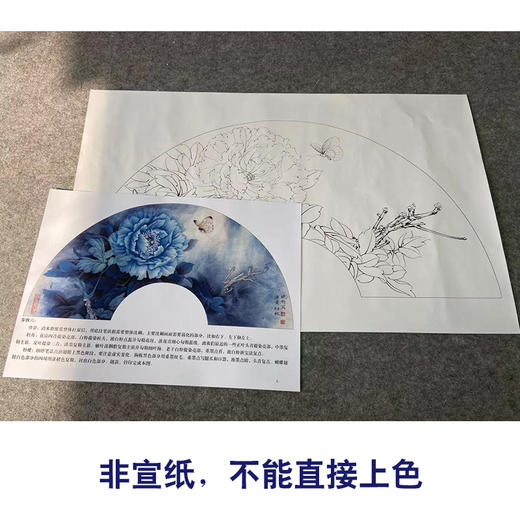 【有步骤、大彩图】李晓明工笔画白描底稿扇面小品《白蝶蓝田玉》牡丹蝴蝶初学者临摹花鸟线稿KD07 商品图2