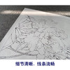 【有步骤、大彩图】李晓明工笔画白描底稿斗方小品《牡丹洛阳春》牡丹初学者临摹花鸟线稿KD14 商品缩略图4