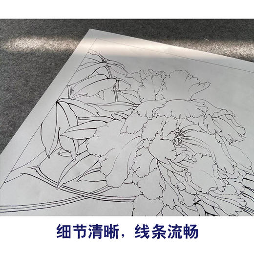 【有步骤、大彩图】李晓明工笔画白描底稿斗方小品《牡丹洛阳春》牡丹初学者临摹花鸟线稿KD14 商品图4