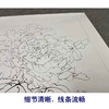 【有步骤、大彩图】李晓明工笔画白描底稿《牡丹图》初学者临摹花鸟线稿KD37 商品缩略图4