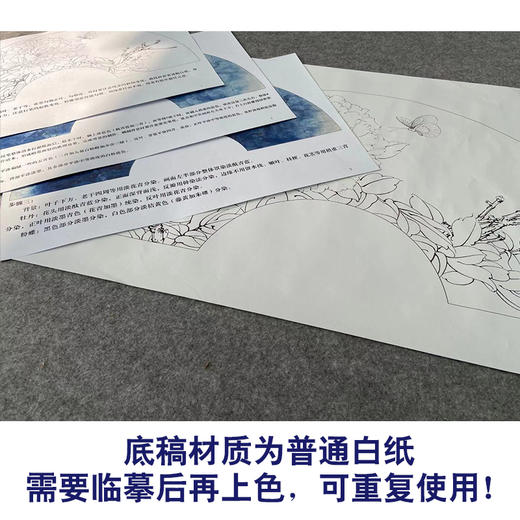 【有步骤、大彩图】李晓明工笔画白描底稿扇面小品《白蝶蓝田玉》牡丹蝴蝶初学者临摹花鸟线稿KD07 商品图3