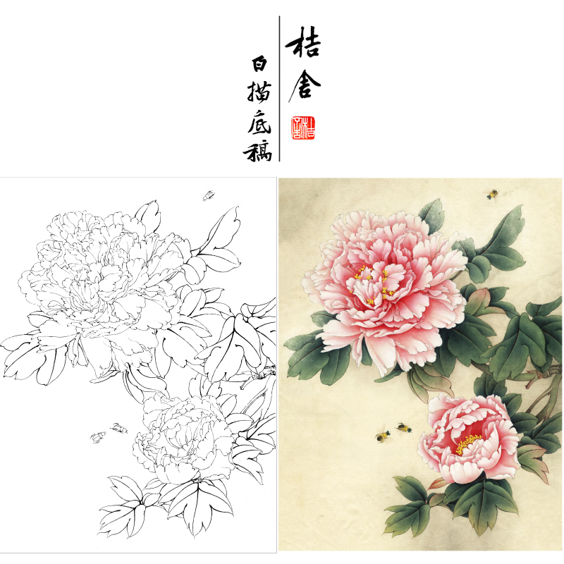 【有步骤、大彩图】李晓明工笔画白描底稿《娇娥粉黛》牡丹初学者临摹花鸟线稿KD13