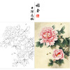 【有步骤、大彩图】李晓明工笔画白描底稿《娇娥粉黛》牡丹初学者临摹花鸟线稿KD13 商品缩略图0