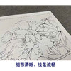 【有步骤、大彩图】李晓明工笔画白描底稿斗方小品《牡丹洛阳春》牡丹初学者临摹花鸟线稿KD31 商品缩略图4