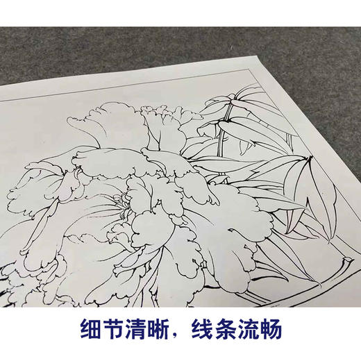 【有步骤、大彩图】李晓明工笔画白描底稿斗方小品《牡丹洛阳春》牡丹初学者临摹花鸟线稿KD31 商品图4