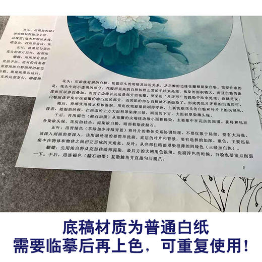 【有步骤、大彩图】李晓明工笔画白描底稿圆形小品《牡丹蛱蝶图》牡丹初学者临摹花鸟线稿KD02 商品图3