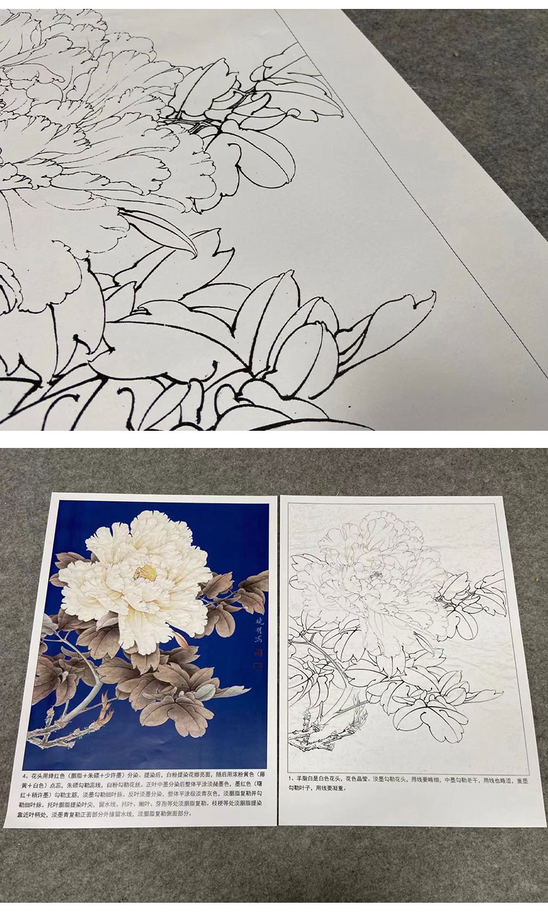 有步骤大彩图李晓明工笔花鸟画白描底稿牡丹花羊脂白斗方小品册页kd42