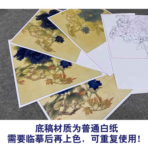 【有步骤、大彩图】李晓明工笔画白描底稿斗方小品《青龙卧墨池》牡丹初学者临摹花鸟线稿KD32 商品图3