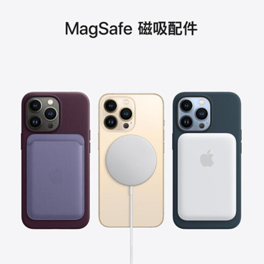 苹果 Apple iPhone 13 Pro (A2639) 支持移动联通电信5G 双卡双待手机 商品图7